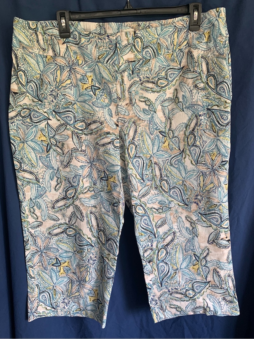 Yarn & Sea size 24 Floral Print Capris - Blue & Cream